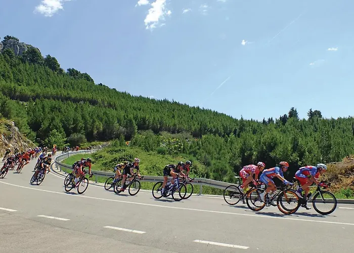 Vukovarska Vii Appartamento *